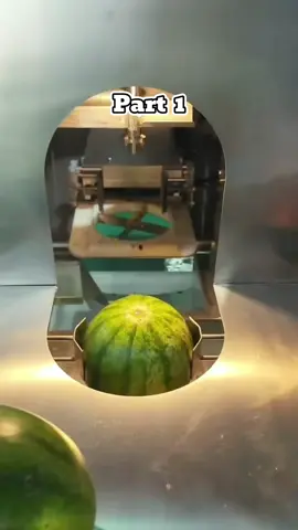 My parents sold my tech startup for $500 to their friend's son, saying, 