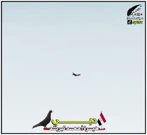 #حمام_الوت_البصره_الزبير🇮🇶 #مشاهير_تيك_توك_مشاهير_العرب #العراق🇮🇶الكويت🇰🇼السعوديه🇸🇦 #أكسبلور_explorelove🎶🔥 @احــمد تــبـــريـــد @انور بو تركي🇰🇼 @🕊️سوگ الحمام 🕊️ @احمد الحلفي 313 @خـالـد الـشـمـري @مهند قبله @🤝فيصل الدوسري🤝 @💫مصطفى الشيخ 💫 @💥 أحمد الشيخ 💥 @نويشي 