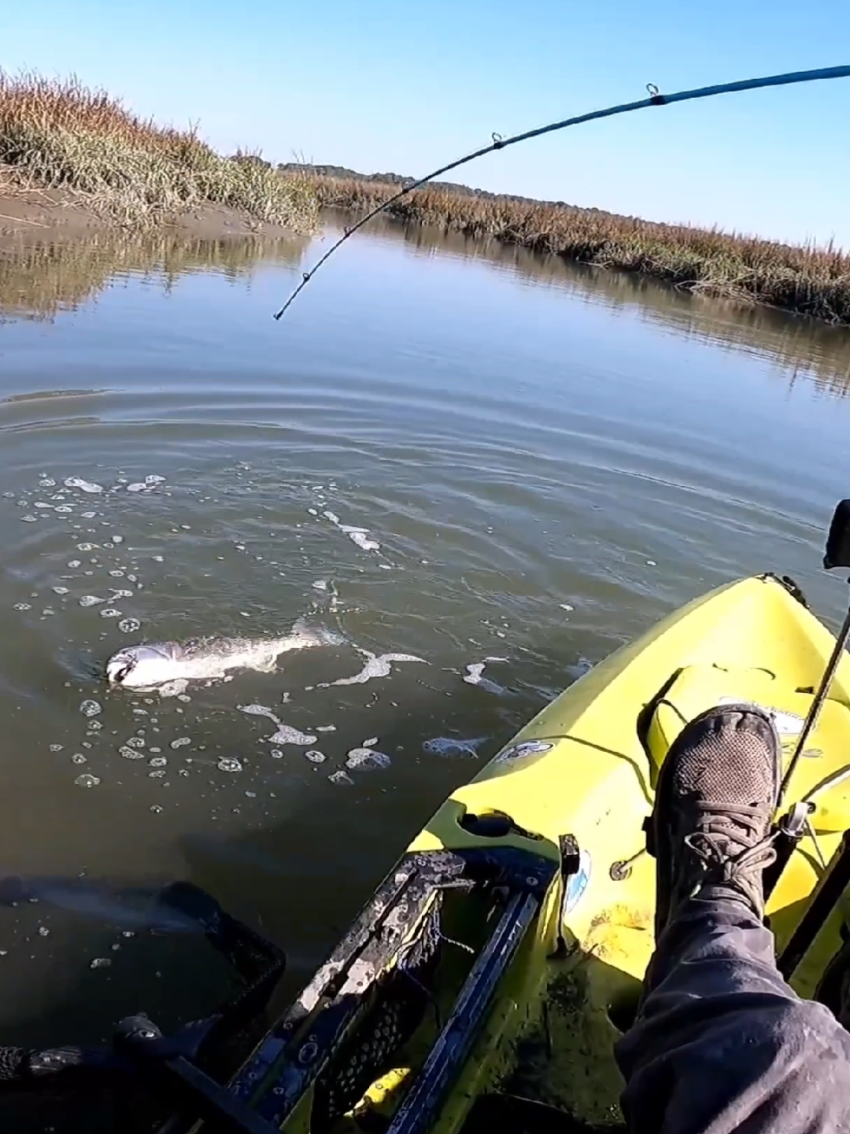 #kayakfishing #fishtok #fishing #bigfish #fyp 