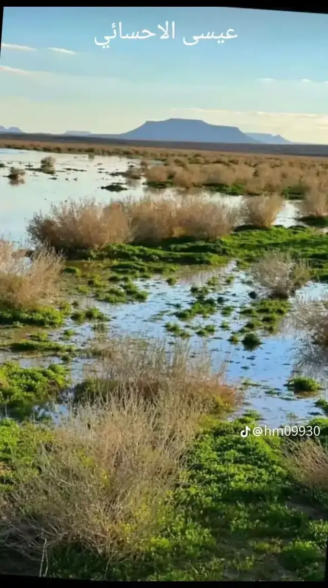 #الاحساء_الهفوف_الشرقيه_اكسبلور 