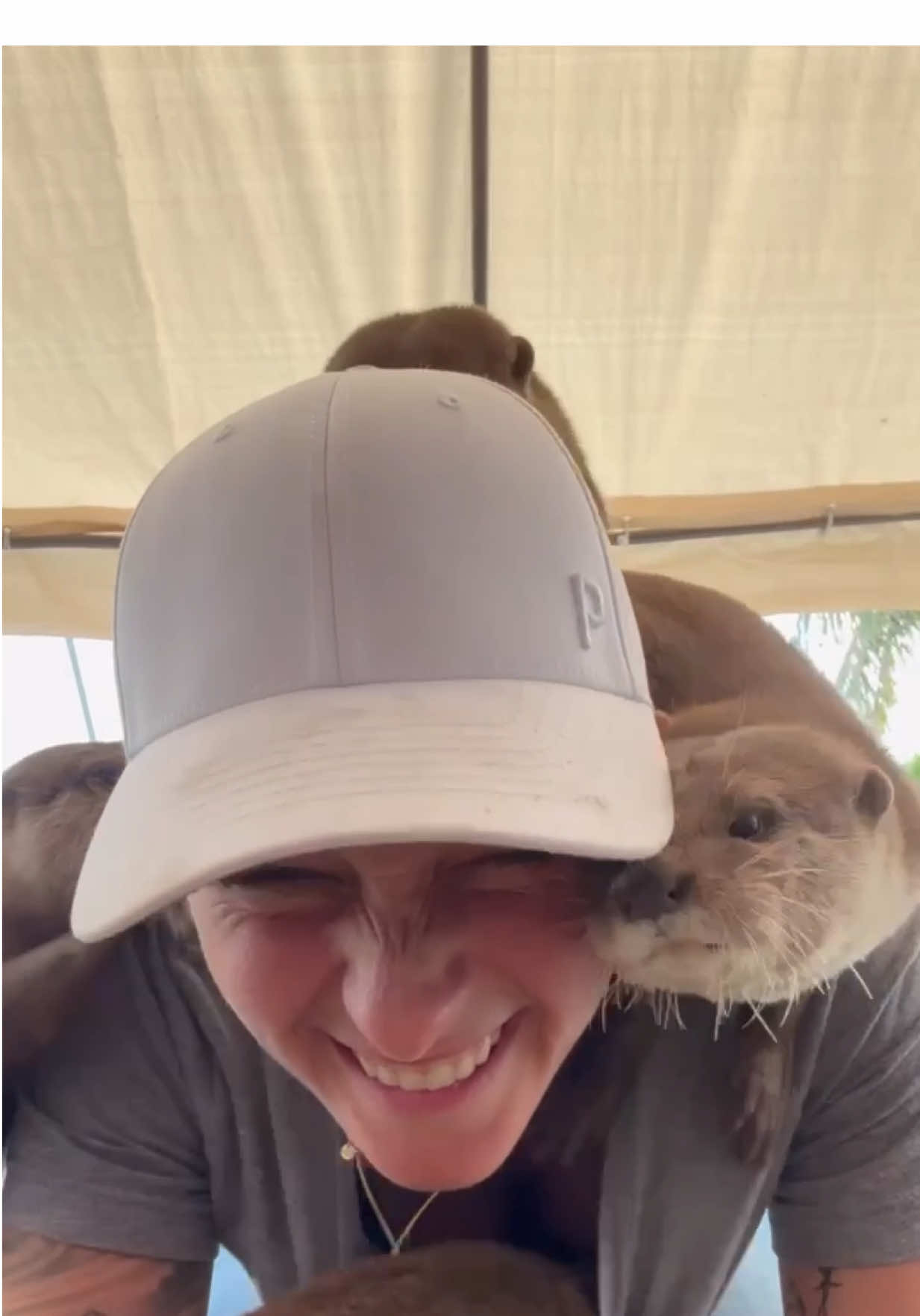 Getting Attacked By OTTERS LMAO 🤣🤣🤣 Come Visit Our AMAZING Animals! Book A Tour Now At AnimalEDventures.com #ForYouPage #ForYou #Fyp 