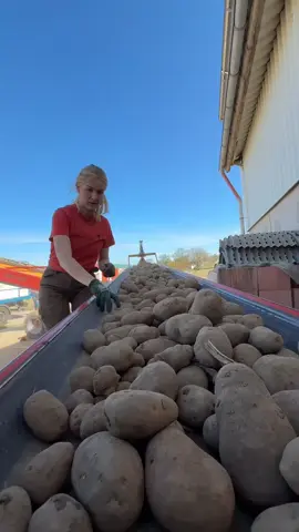 #تركتر #جرارات_زراعيه 