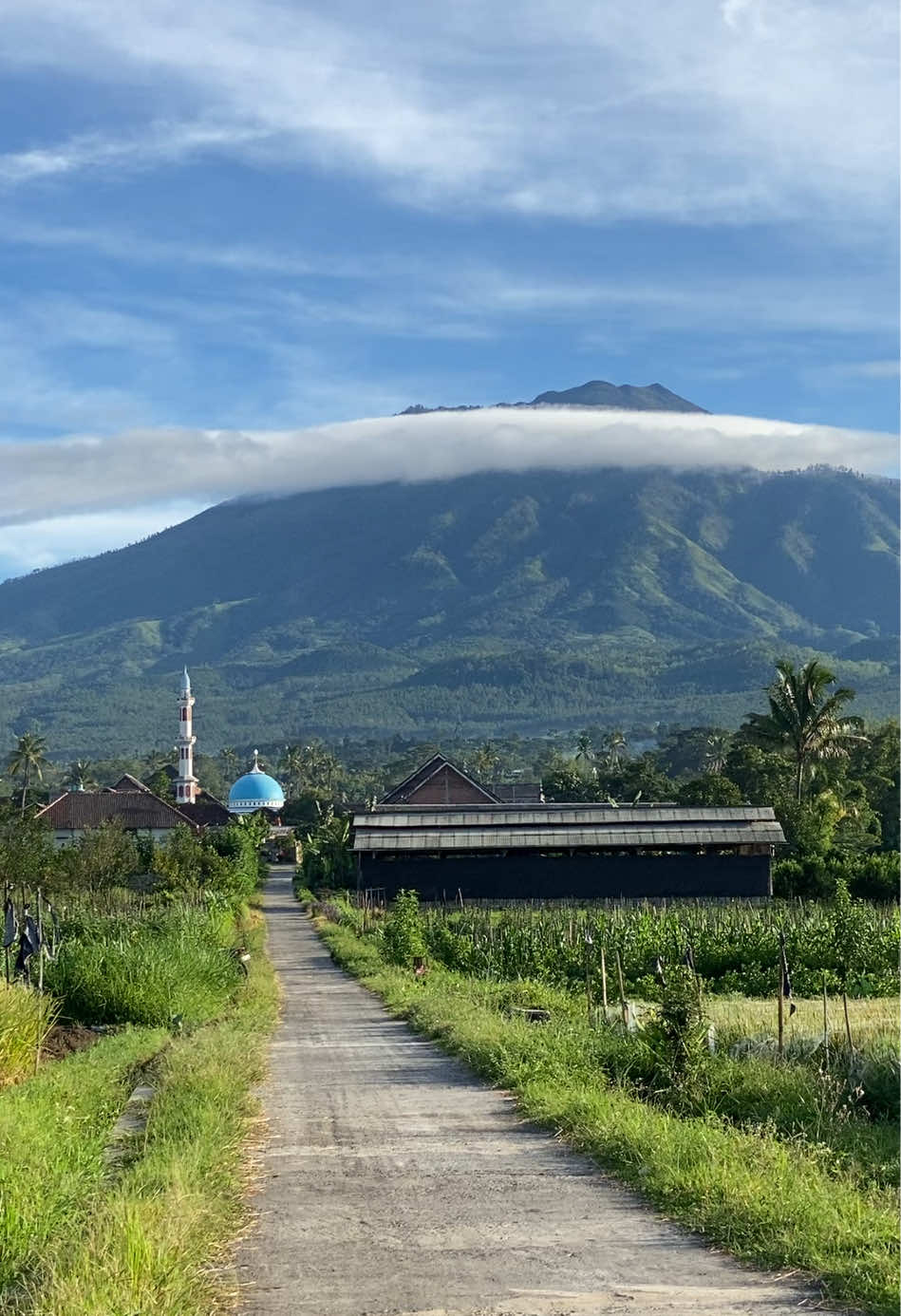 Pov : jadi warga Bocek Karangploso view 3 gunung langsung. Arjuno, Semeru dan Panderman . . #bocek #karangploso #malang #kabupatenmalang #gunung #arjuno #semeru #panderman #batu #kawi #malanghits 