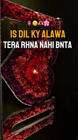 #CapCut #dil #desi #shair_o_shairi #pakistani_tik_tok #punjabitiktok #fyp 