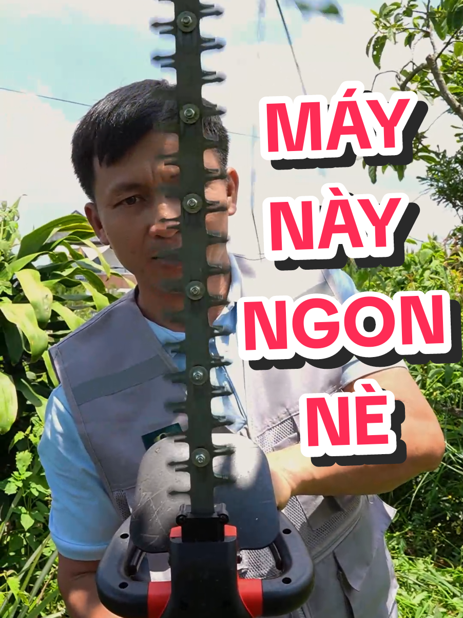 máy tỉa hàng rào ngày ngon và an toàn nè. #binhdiennang #binhvuameo #maytiahangrao #maycattiahangrao #maycat #dungcutienich 