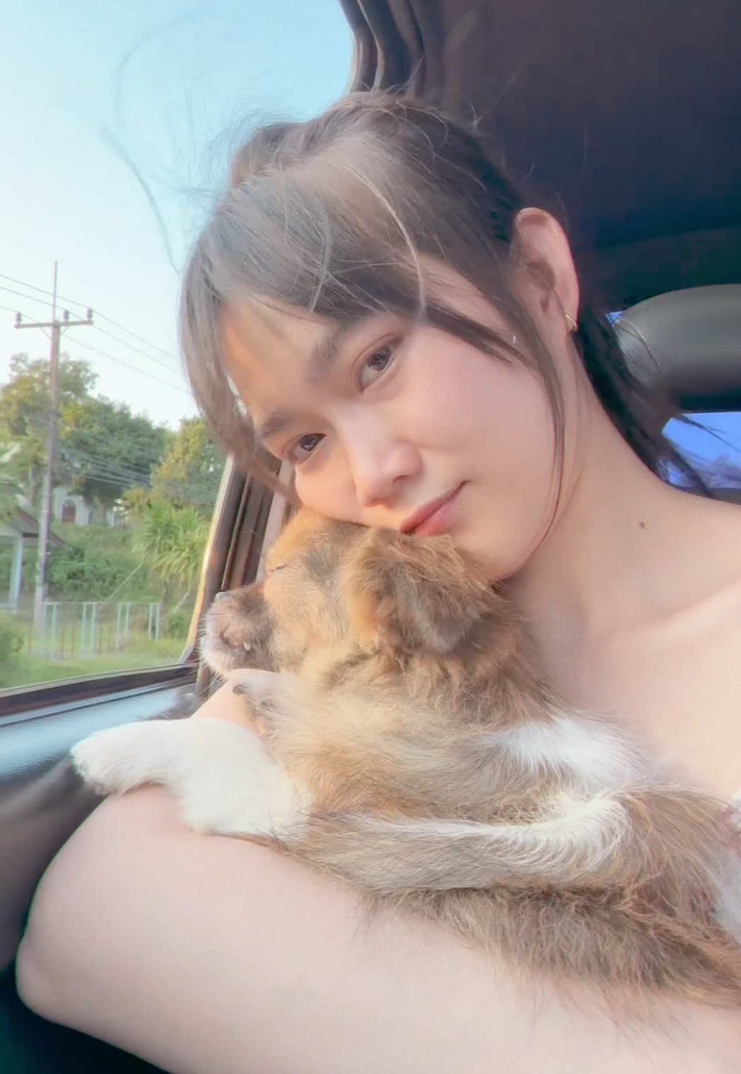 ทาร่าน้อย🫶🏻🐶 #หมาน่ารัก #ทาสหมา #mangbaa16 #อุตรดิตถ์ #ท่าปลา 