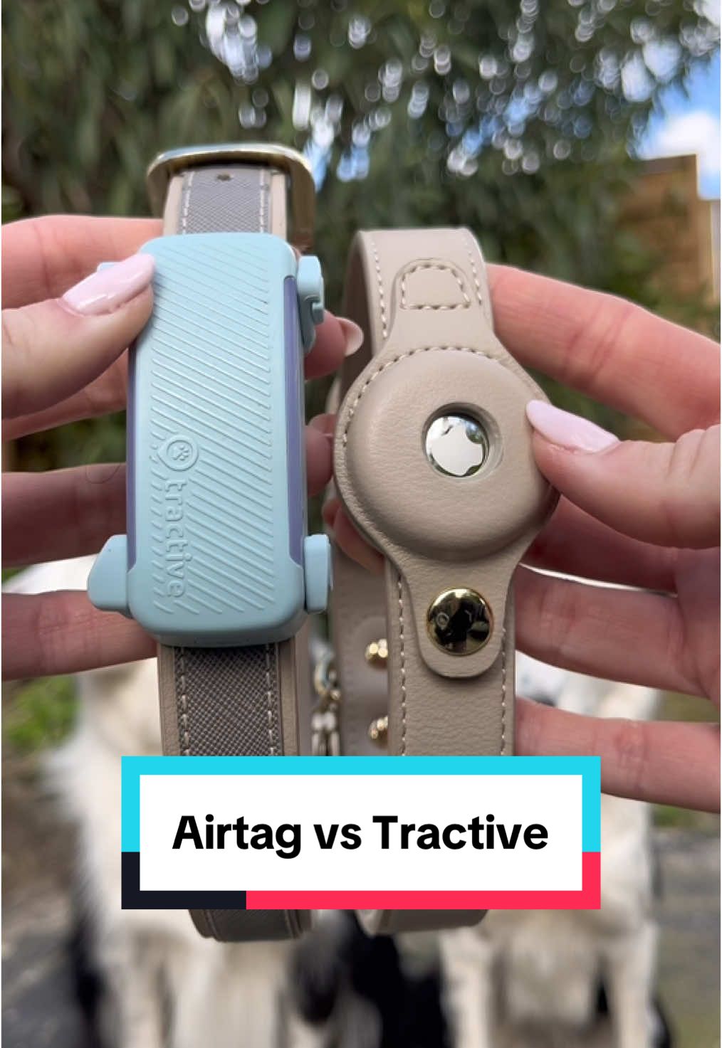 Comparativa AirTag vs Tractive  @Tractive Pet GPS  Si eres mamá perruna como yo y no te la quieres jugar, échale un ojo! Tienes un 40% de descuento con el código “MARTA” 🖤 #perros #cuidadodemascotas #tractivegps #petgps #gpstracker #dogtracker #dogsafety #doglife #dogtips #consejosperrunos #dogcare #safetyfirst  