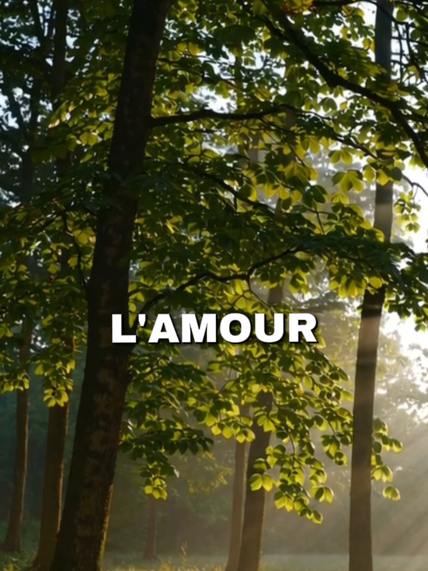 Quand deux personnes s'aiment vraiment... #rencontre #adieux #amour #séparation #espoir #persévérance #connexion #solitude #acceptation #reconstruction #sentiment #couple #jetaime #relation #coeurbrisé #amoureux #monamour #rupture #famille #Avectoi #mavie #promesses #geste #quotidien #patience #compréhension #sincérité #tendresse #douceur #bonheur #triste #manque #positive #mindset #authentic #focus #progress #Ignore #perseverance #failure #vérité #motivation #fierte #success #sensible #sagesse #karma #avenir #developpementpersonnel #lecondevie 