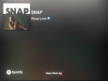 SNAP | Rosa Linn  #fyp #foryou #tiktok #xyzbca #lyrics #lyricsvideo #mmsub #mmsublyrics #snap #rosalinn #swanhtetag20 