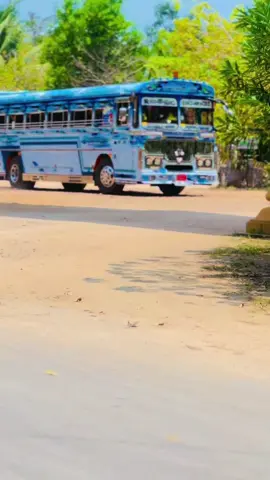 පොලිස් මාමලා පවා ආස චාම් පෙනුම 🙈💙 එයත් එක්ක යාපනේදී 🥰 කුමාරයා Speed Coach 💙 #fyp #srilanka #bus #kumarayaspeedcoach 