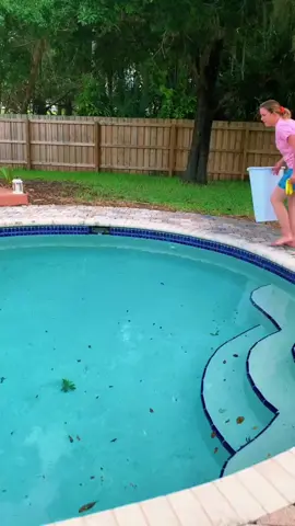 We found this baby rabbit in our pool #animal #animalsoftiktok #animallover #rescueanimals #rabbits #bunny 