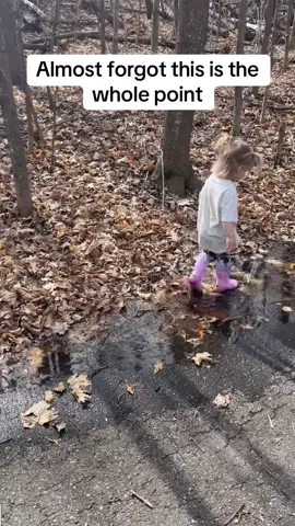 I love seeing her world and her joy  #littlethingsmatter #createyourdreamlifevibe #toddlerlife
