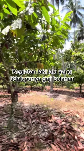 #petanimuda #kebuncoklat #fyppppppppppppppppppppppp #pengangguran 