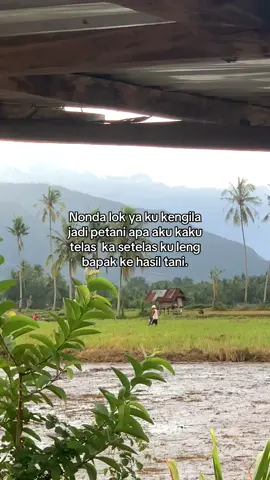 #fyppppppppppppppppppppppp #sumbawabarat 