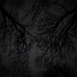 Dark night #parati #fyp #lyric #paratiiii #slowed #music #darknight #mark #russia 