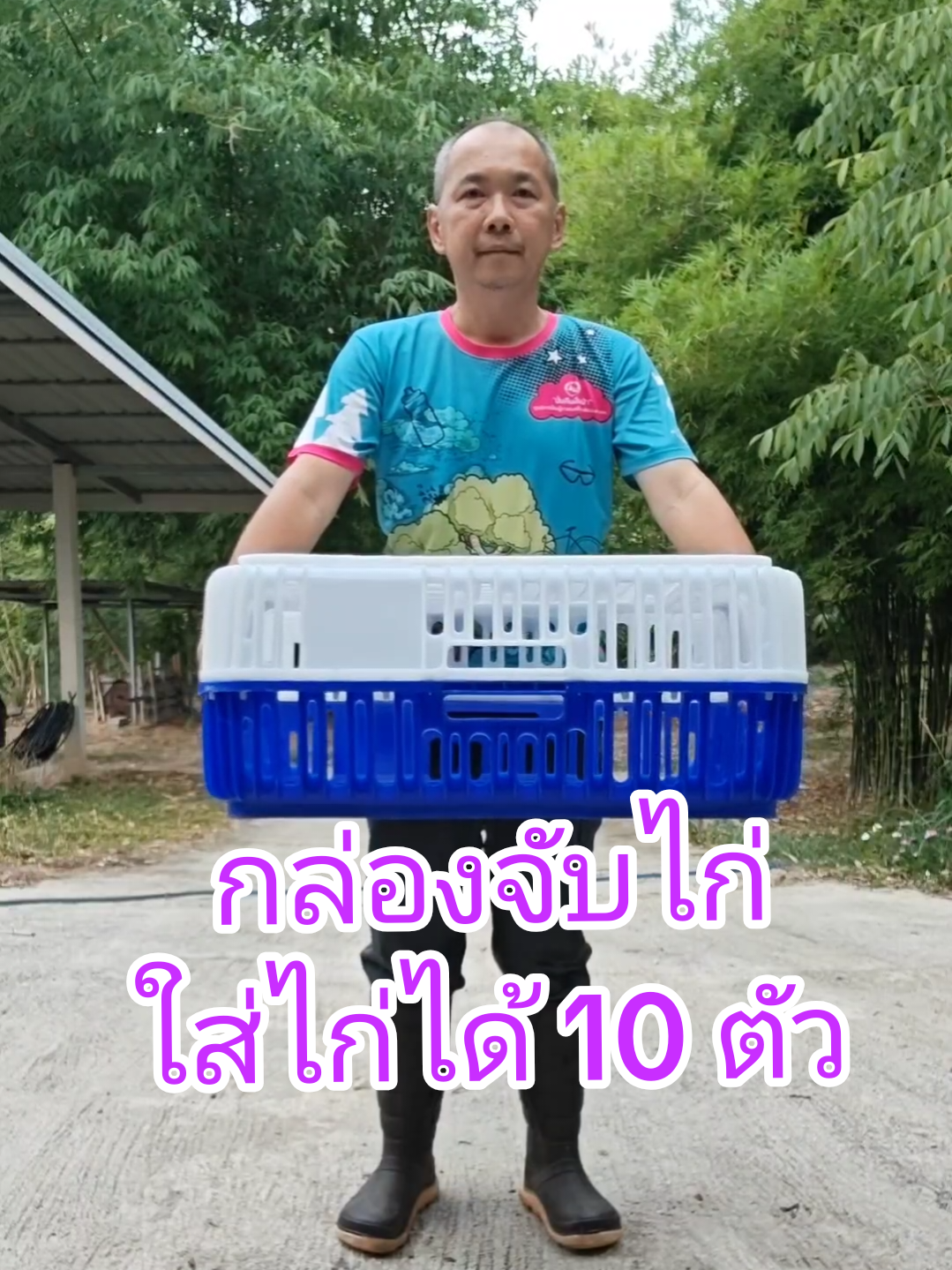 กล่องใส่ไก่สำหรับใส่ไก่ 10 #กล่องจับไก่ #กล่องใส่ไก่ #กล่องใส่เป็ด #กล่องใส่สัตว์ปีก 