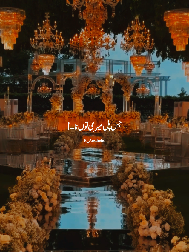 jis pal Mari tun na disy💝🥀 #aesthetic #viral #viralaccount #grow #growmyaccount #status #trending #standwithkashmir #unfrezzmyaccount #foryoupage 