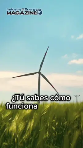 ¿Sabes cómo funciona la energía eólica? #fyp #noticias #sheinbaum #Sustainability #arancel 