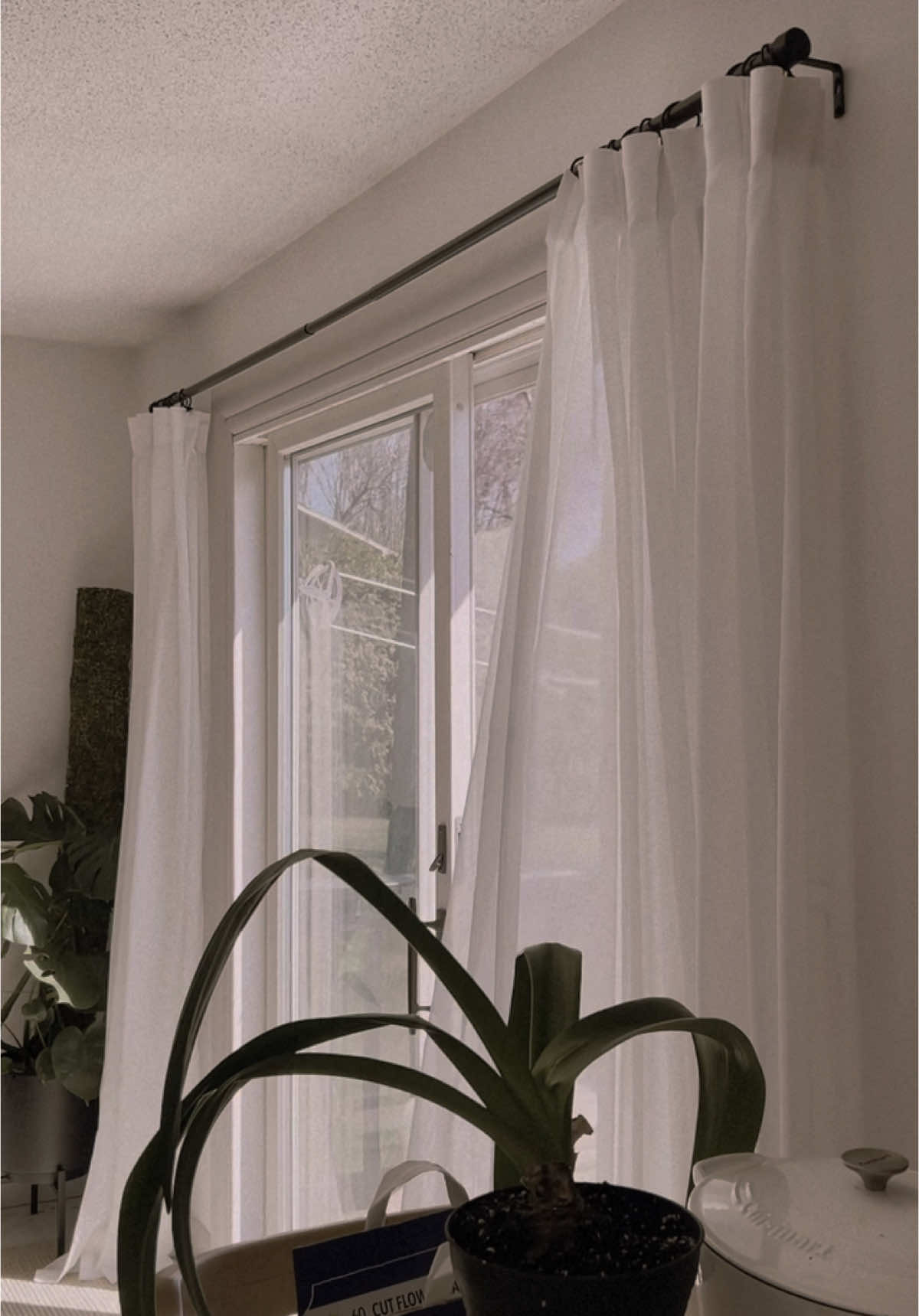 Opening the windows and letting the breeze in is one of my favorite spring things🌿 #spring #slowmoments #cozyhome 