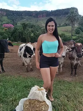 #zezedicamargoeluciano #foryoupage #tik_tok #vidanaroça #boiadeira #vaquejada 