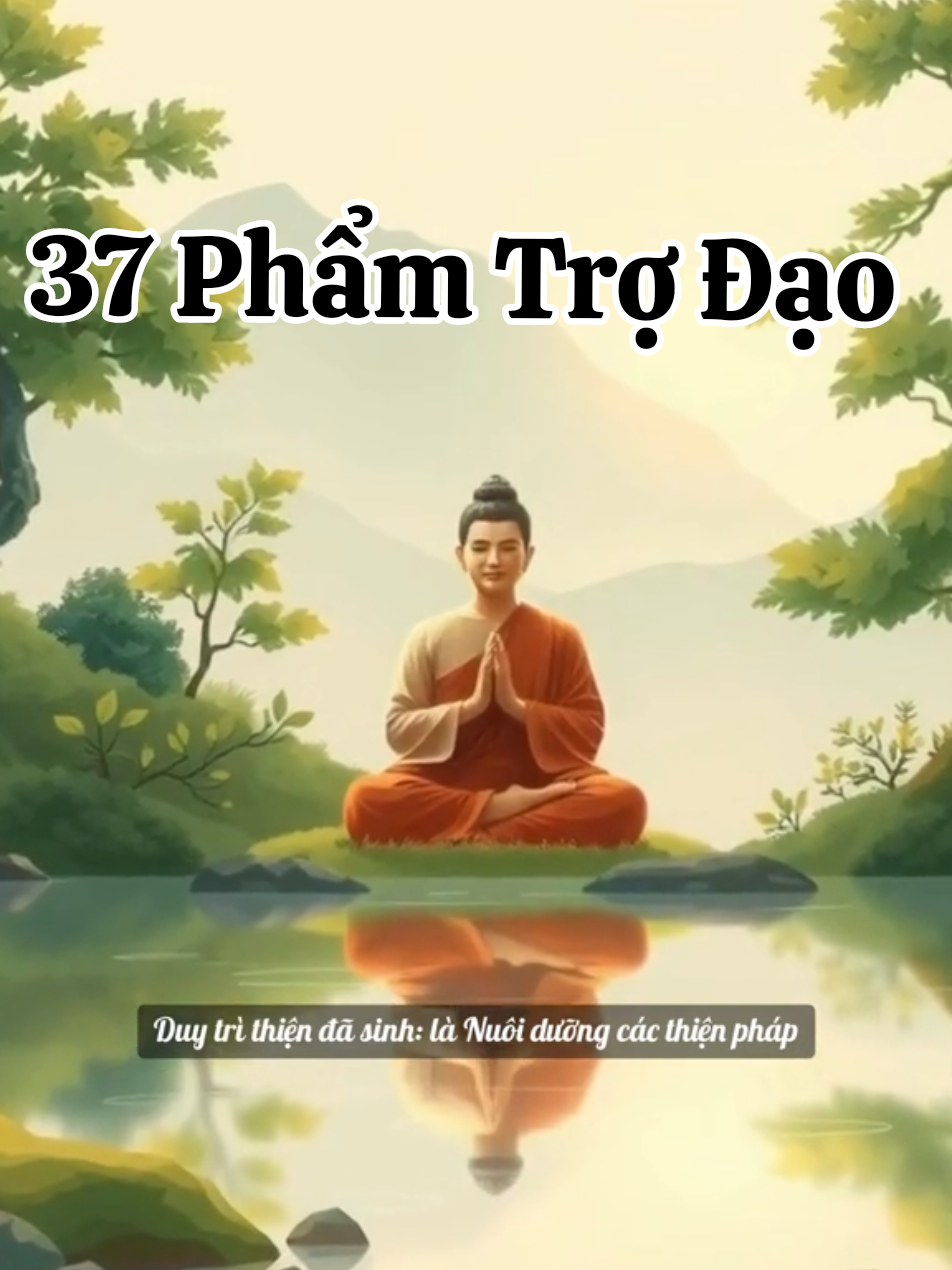 37 Phẩm Trợ Đạo (Bodhipakkhiyā Dhammā) là những pháp môn căn bản giúp hành giả tu tập đạt đến giác ngộ, được Đức Phật giảng dạy trong nhiều bài kinh thuộc Kinh Tạng Pāli. Mỗi pháp đều có vai trò riêng, hỗ trợ nhau trên con đường đoạn trừ phiền não và phát triển trí tuệ. Dưới đây là giải thích chi tiết ý nghĩa từng nhóm pháp: 1. Tứ Niệm Xứ (Satipaṭṭhāna) – Nền tảng của Thiền Quán Là 4 đối tượng quán chiếu để phát triển chánh niệm, giúp thấy rõ bản chất thật của thân, thọ, tâm và pháp. Thân niệm xứ (Quán thân): Quán sát hơi thở, tư thế, các bộ phận cơ thể (như 32 thể trược), hoặc sự tan rã của thân sau khi chết. Mục đích: Thấy thân là vô thường, vô ngã, không phải 
