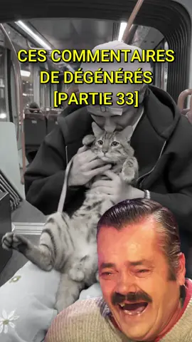 CES COMMENTAIRES DE FOU [PARTIE 33] #risitas #issou #commentaire #dégénérés #wtf #chat