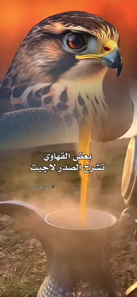 #بعض#القهاوي#تشرح#الصدر#لاجيتة