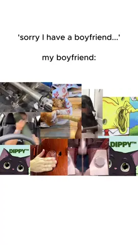 My bf and his dippy obsession 😭 #characterai #dippy #dippyai #characteraibot #aichat #cai #roleplay 