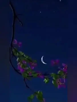 #💫💫💫💫💫🥀🥀🥀🥀♥️♥️♥️♥️ #💫💫💫💫💫🥀🥀🥀🥀♥️♥️♥️♥️ #h😗💫💫💫💫 #greenscreen 