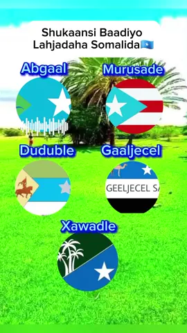 Shukaansi Baadiyo Qabiilke ugu Lahjad Fiican?😂 #Muqdisho_Murusade🇱🇮🐎 #Galgaduud_State🇵🇷  #Degmada_Derri_Galgaduud🇵🇷 #Force_HilibiⓂ️🐎  #Degmada_Gubta🌴❤️_Xuurshow🦅_Banaadir🇭🇹  #_Ceelbuur_Force_Hilibi_Mohamed_Galgaduud🇵🇷  #Ceelbuur_Galgaduud_State🇵🇷 #Force_HilibiⓂ️🐎  #HILIBI_MOHAMED🇱🇮🐎 #Xuurshow️Ⓜ️Bower🦁  #muqdishotiktok🇸🇴🇸🇴❤ #Aarka_GalgaduudⓂ️🦁 