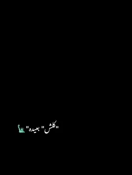 #الشعب_الصيني_ماله_حل #حساني #fyp #موسيق #المشايخ #الشيخ #تميم_المجد #العراق🇮🇶 #العالم_العربي 