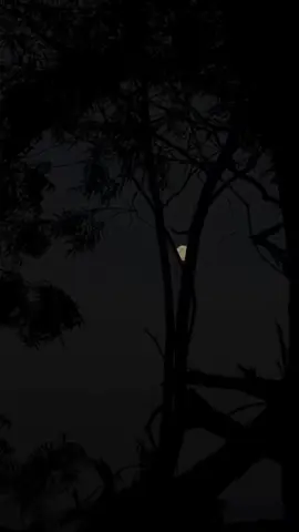 صديـق وعشيـر…أغلييه🥺❤️                             #منشن_للي_تحبه #احبك #تصميم_فيديوهات🎶🎤🎬 #تصميم #فهد_العدواني #شعر #قصايد  #ستوريات #الصديق #صديقي #❤️ #حب ##اغليك#fypシ゚ #foryou #كلام_جميل #اقتباسات #عبارات #اكسبلورexplore 