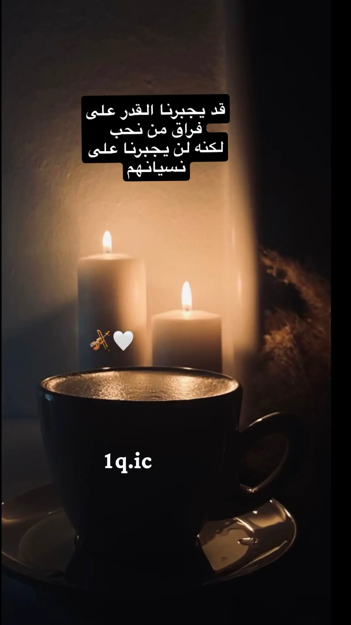 #محمد_عبده #جمرة_غضى                                                   #مساء_الخير #☕️                                                             #اكسبلور #yfp #🤍 