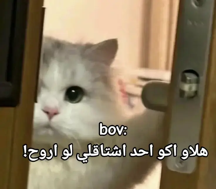 اكو لو اروح🙂💔