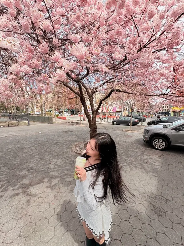 recents #photodump #spring #nycspring #aesthetic 