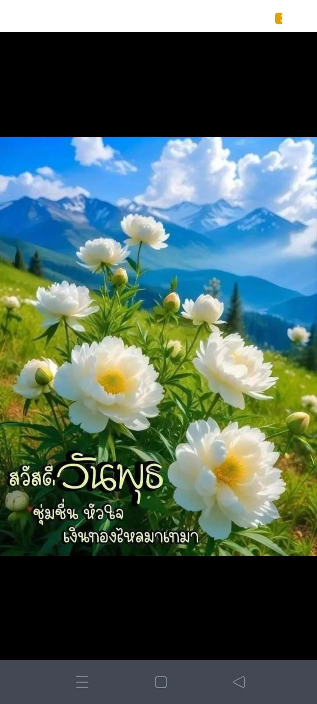 สวัสดีวันพุธครับ เช่นเคยดอกไม้และคำอวยพรมาฝากครับ#songkran2025 #คนพเนจร #หากินแดนไกล 