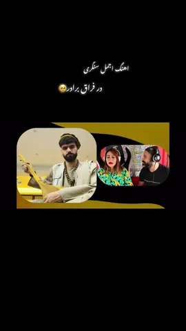 #پرنده #مهاجر🕊️ #افغانستان🇦🇫🇦🇫🇦🇫 #ری_اکشن_دخترایرانی #گردشگری_ایران 