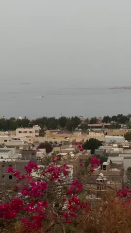 #tabuk #pageforyou #fypシ゚ #viral #haql #حقل #حقل_علقان_تبوك_نيوم_الشمال #بحر #محظور_من_الاكسبلور🥺 #هشتاقاتي_الترند_المشهور #هاشتاق 