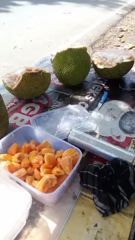 nangka madu 