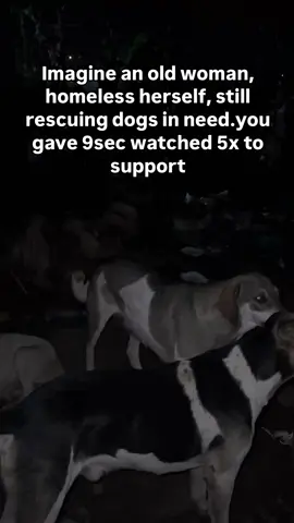 #FeedTheStrays #StrayDogs #DogRescue #StreetDogFeeding #RescueAndFeed #BeKindToAnimals #PawsForACause #AdoptDontShop
