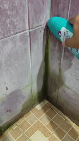 Pembersih Toilet ampuh bersihkan Kerak #pembersihtoilet  #pembersihkamarmandi  #toiletbersih  #logeski