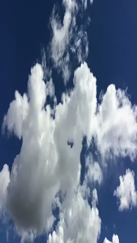 🫁