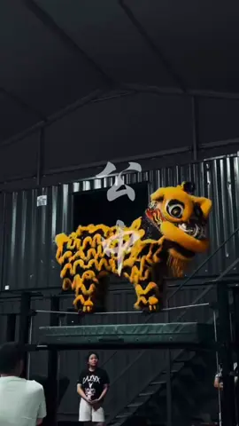 🇲🇾 2025 15th Genting World Lion Dance Championship  第十五届云顶世界舞狮争霸赛 Train Ready for Fight💪💪💪 🇲🇾 蘭莪公中校友會龍獅團 CHSAA Dragon & Lion Dance Troupe #马来西亚 #malaysia #malaysiatiktok #liondance #mualan #tariansinga #barongsai #醒獅 #醒狮 #舞狮 #liondancer #liondanceperformance #liondancecompetition #liondancelife #高桩 #高桩舞狮 #高桩舞狮🦁 #高桩舞狮表演 #舞狮生活 #舞狮比赛 #舞狮表演 #舞狮运动 #liondancemalaysia #liondance2025 #múalan #múalan2025 #lansurong #lansurong2025 #liondancing   #liondancedrum #liondancedruming  #barongsaitiktok #barongsai2025 #传统 #传统文化 #traditional  #台上一分钟台下十年功 #respect  #云顶 #genting #gentinghighlands #gentinghighland #gentingresortworld #第15届云顶世界狮王争霸战 #15thgentingworldliondancechampionship #世界狮王 #世界狮王争霸赛 #公中龙狮团 #公中校友会龙狮团 