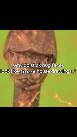 #CapCut idk the name of the artist💔#fyp #fypシ #fypage #house #housemd #viral #tiktok #stickbug 