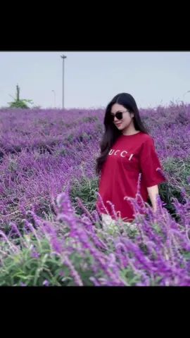 Thung lũng hoa - Tây Hồ