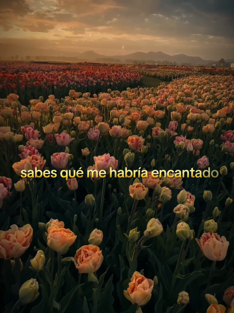 frases para dedicarle a tu amor ❤️#estadosunidos🇺🇸 #dedicatorias #frasesbonitas #frasesdeamor💕 