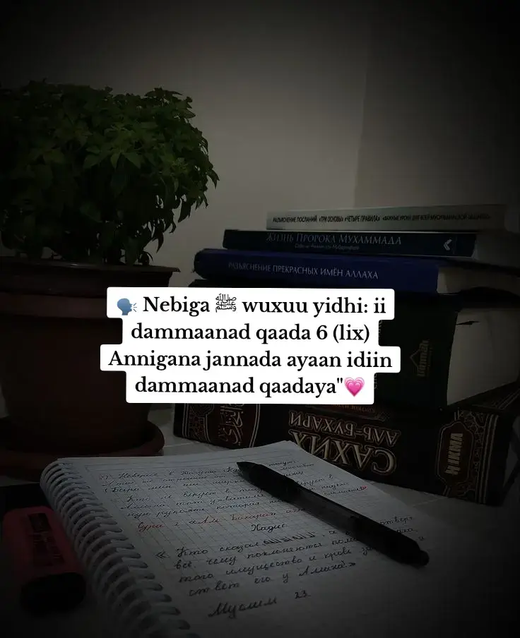 #صلى_الله_عليه_وسلم #allah❤️ #الحمدلله_دائماً_وابداً #islamic_video #fyp #viral_video #foryoupage❤️❤️ 