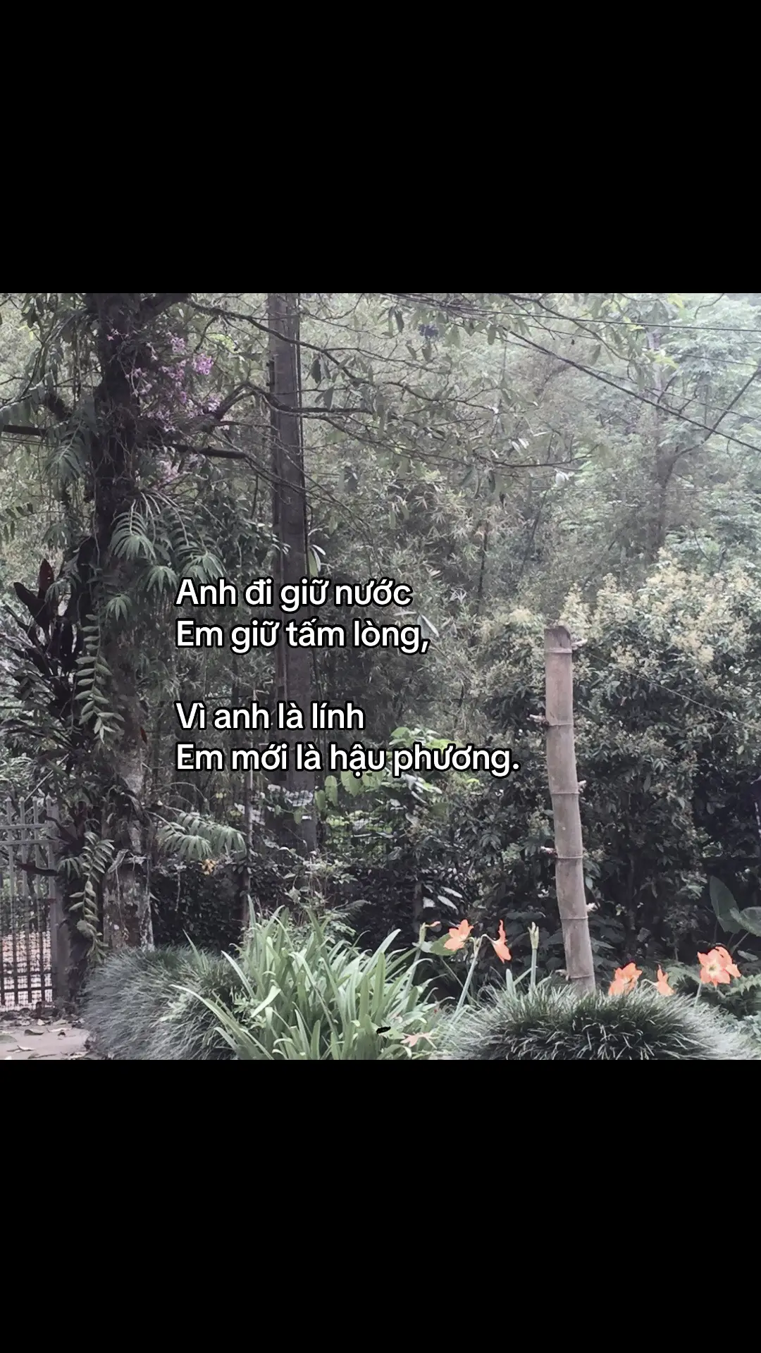💕#bộđội #chúbộđội #hauphuongvungchac #xuhuong 