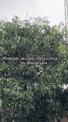 kalo udah sampai salam rindu nya kabarin lewat mimpi ya buu🥀 #quote #fyp #piatu 