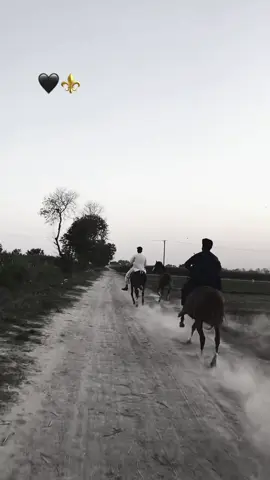 Punjabi airlines ✈️🐎